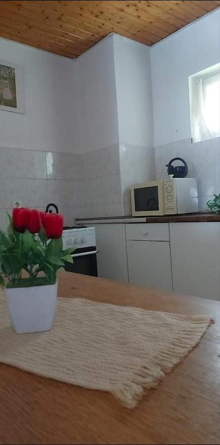 Apartament Kekturas-Tora Nyilo Badacsonyi Privat Berlemeny Badacsonytomaj Zewnętrze zdjęcie