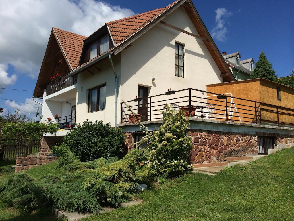 Apartament Kekturas-Tora Nyilo Badacsonyi Privat Berlemeny Badacsonytomaj Zewnętrze zdjęcie