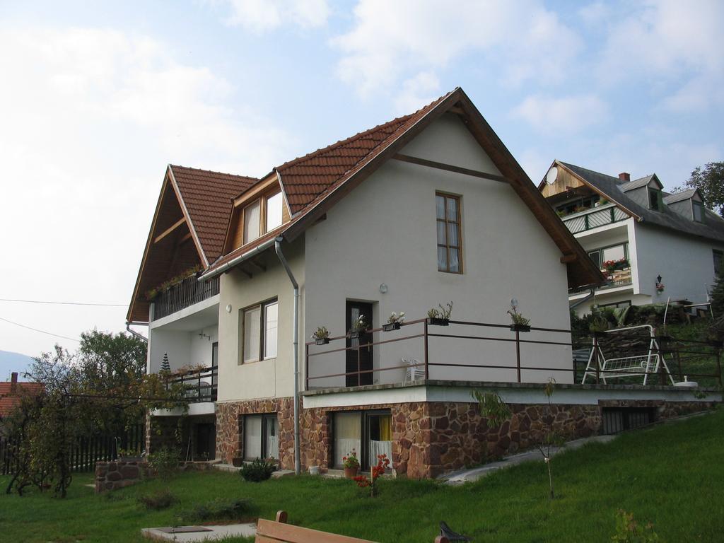 Apartament Kekturas-Tora Nyilo Badacsonyi Privat Berlemeny Badacsonytomaj Zewnętrze zdjęcie