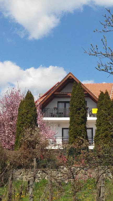 Apartament Kekturas-Tora Nyilo Badacsonyi Privat Berlemeny Badacsonytomaj Zewnętrze zdjęcie