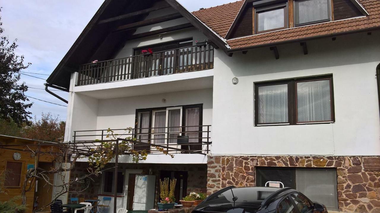 Apartament Kekturas-Tora Nyilo Badacsonyi Privat Berlemeny Badacsonytomaj Zewnętrze zdjęcie